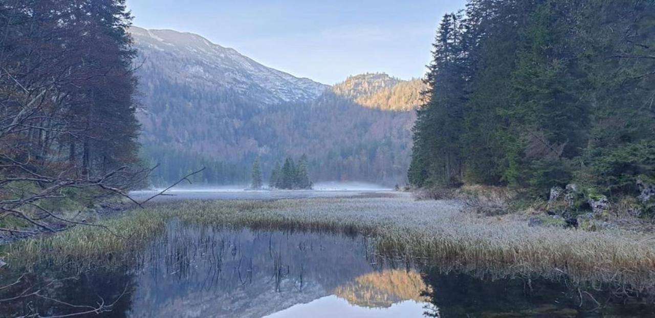 Ledererhof Lunz Am See Exterior foto