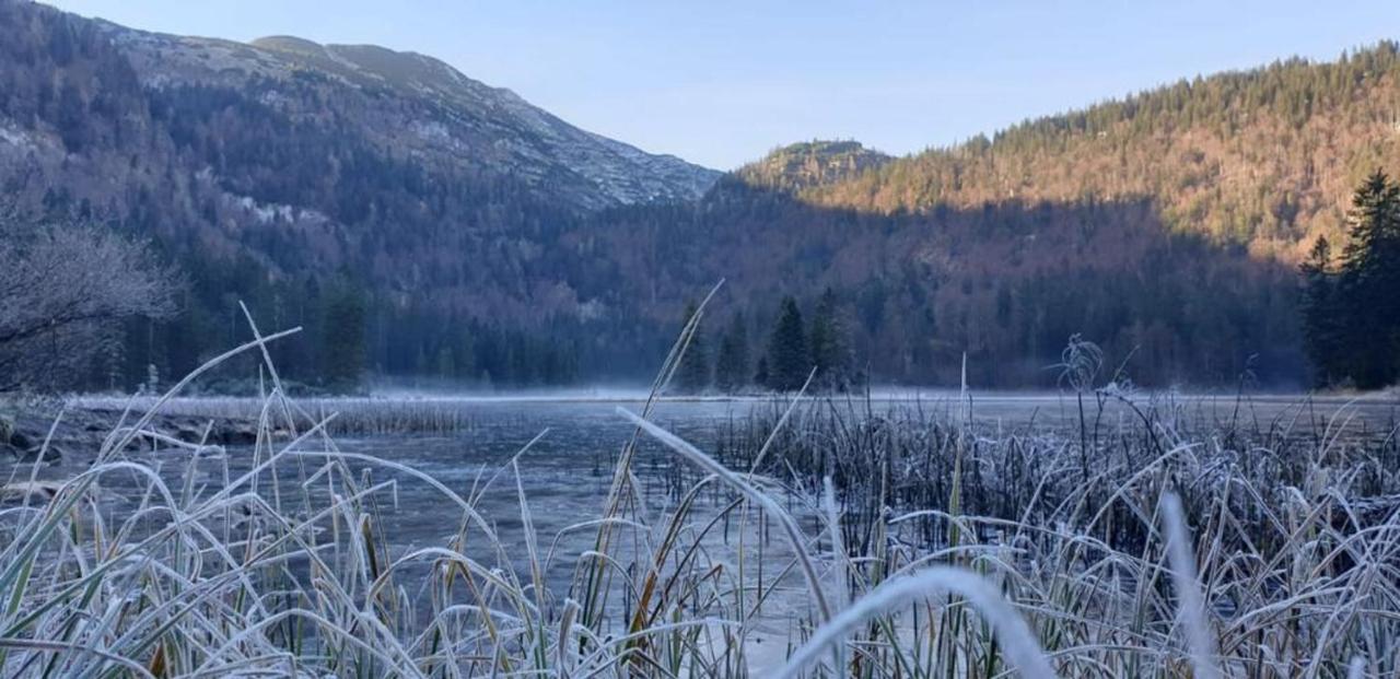 Ledererhof Lunz Am See Exterior foto